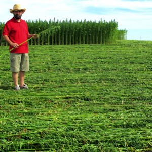 hemp-upu